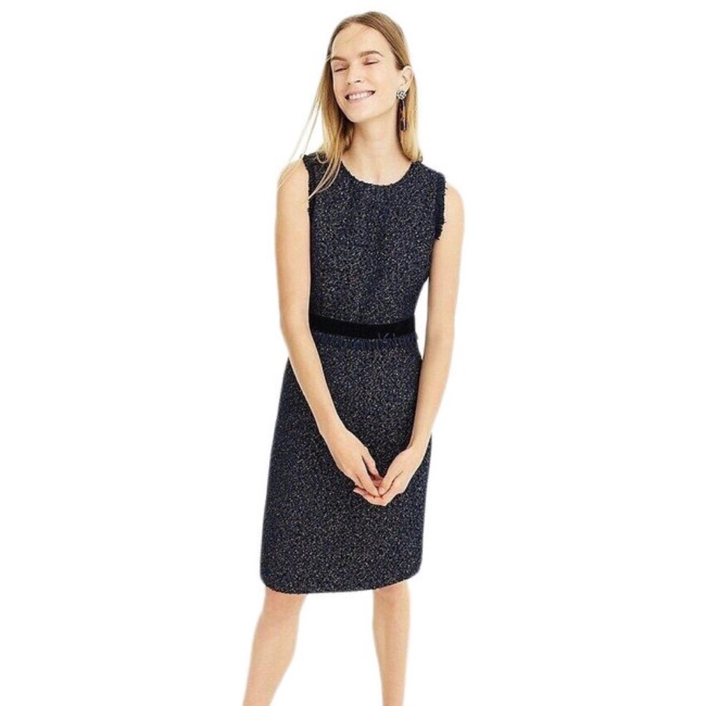 NWT J. Crew Sparkle Tweed Dress